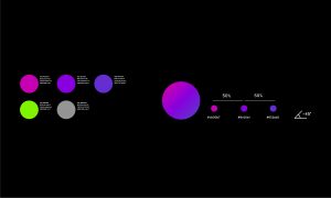 Brand Identity Blockchain Network